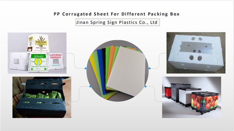 pp corrugated sheet for box